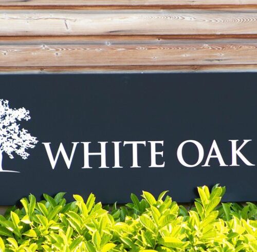 White Oak Global Advisors Lawsuit